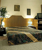 Apartment B - Living- Sleepingroom